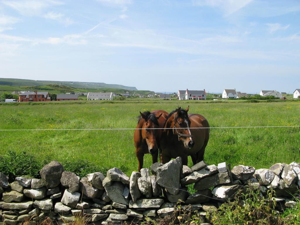Bed and Breakfast Nellie Dee'S Doolin Exterior foto